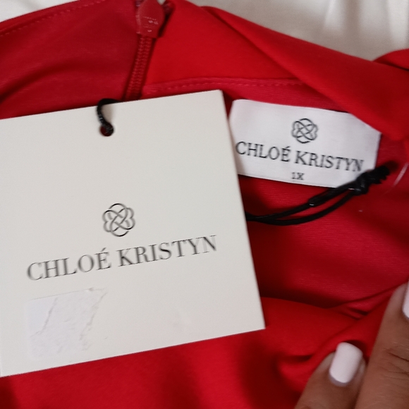 🩷 Chloe Kristyn Bianca Dress Size 1X - Picture 9 of 10